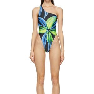 Louisa Ballou Plunge One-Piece Swimsuit